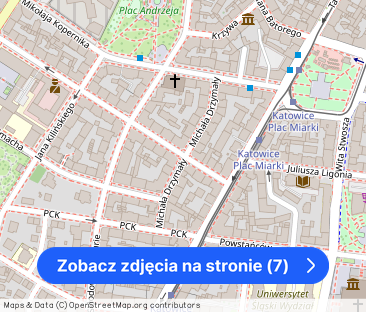 140 m2/ Katowice Śródmieście/ Zwierzęta ok – zdjęcie 1