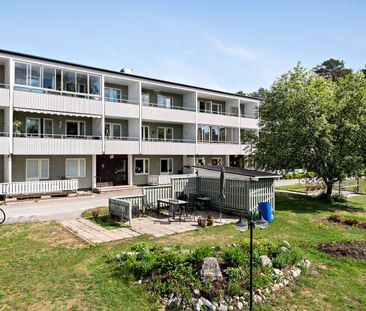 Floragatan, Kalix - Foto 1
