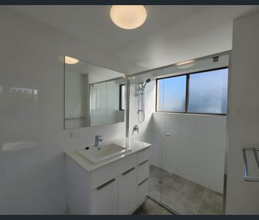 Renovated! Spacious! Walk to everything! - Photo 5