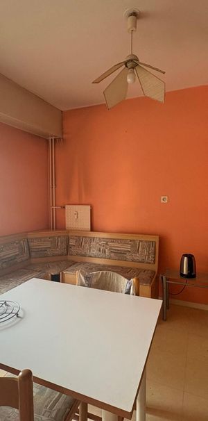 Location Appartement 1 pièce 34m² MACON 71000 - Photo 1