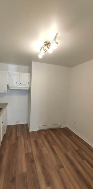 4 ½, 2 Chambres, Centre-sud, Près UQAM - Photo 1