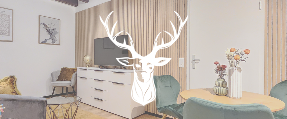 Exklusives 1,5-Zimmer Apartment vollständig möbliert monatlich anmietbar - Foto 1