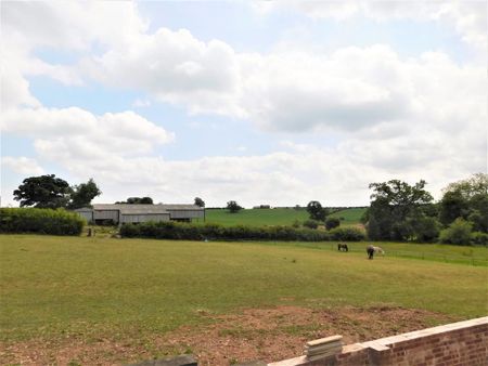 3 bedroom detached bungalow to rent - Photo 3