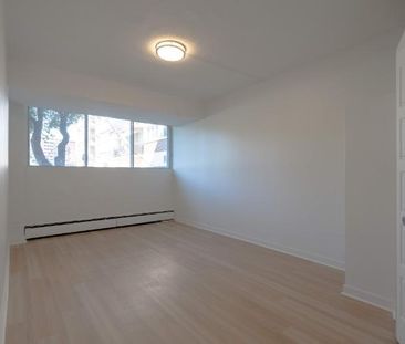 1 CH - 1 SDB - St-Laurent - $1,245 /mo - Photo 2