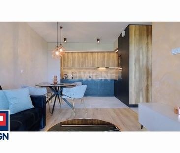 Mieszkanie na wynajem w nowym budynku Polkowice - Zdjęcie 6