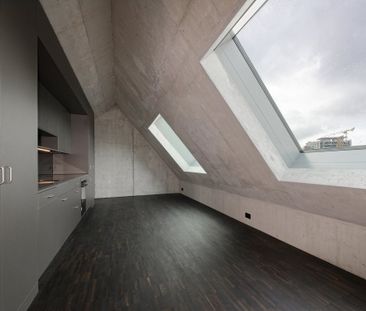 Rent a 2 ½ rooms apartment in Basel - Photo 3