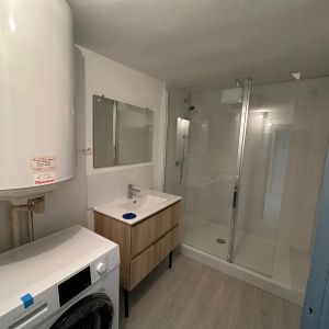 Centre ville de BROU - Photo 2