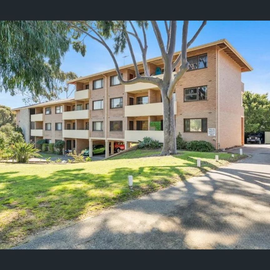 Renovated Gem in the Heart of Peppermint Grove! 1 x 1 apartment - Photo 1