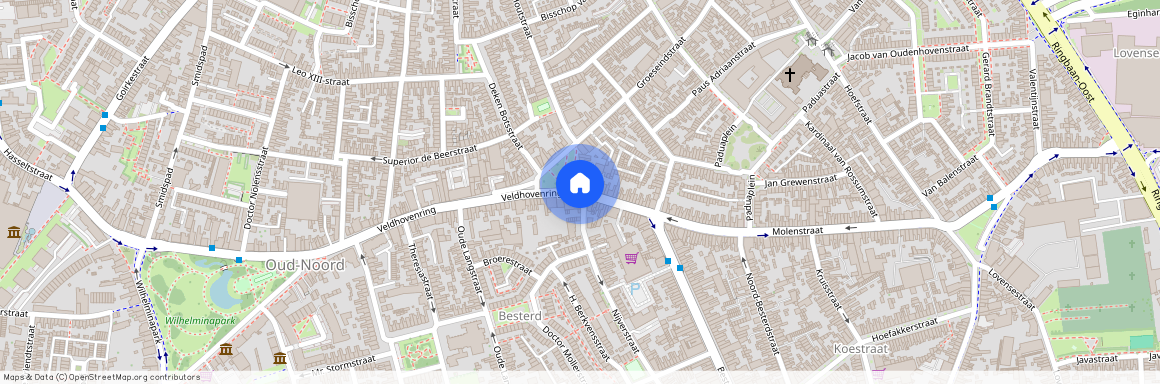 Theresia Oost, 5041 BC, Veldhovenring, Tilburg