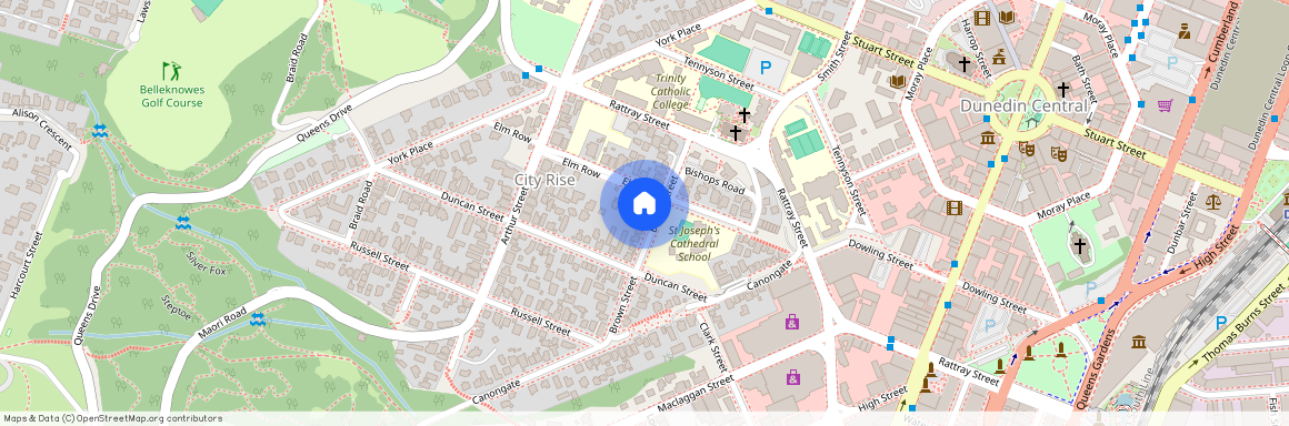 20 Brown Street, Dunedin Central, Dunedin City