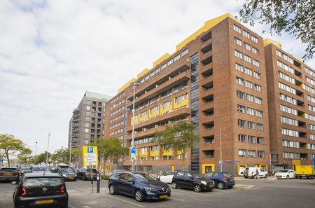 Te huur: Cor Kieboomplein 213, 3077 MK Rotterdam - Photo 5