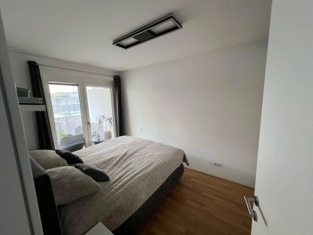 1070! Ruhige, urbane 2-Zimmer Wohnung mit West-Terrasse direkt in der Zieglergasse! Ab Mai 2025! - Photo 5