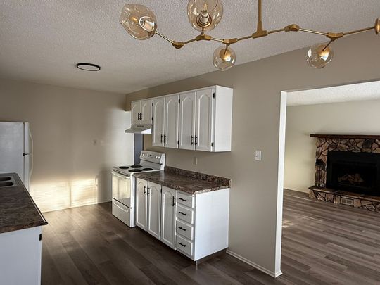 Newley Renovated Duplex Close to Bower! - Photo 1