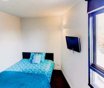 Single Studio - Photo 5