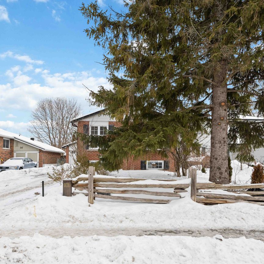 For Lease - 249 Hodgson Drive, Newmarket, Ontario - Photo 1