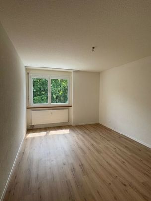 4.5 Zimmerwohnung für den 01.02.2026 in Orpund zu vermieten ! - Photo 1