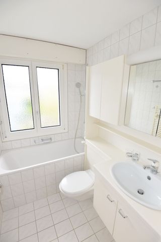 Cozy 1-room apartment near the town of Sursee - Foto 2