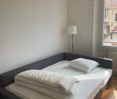 Location Appartement 2 pièces 54m² GRENOBLE 38000 - Photo 3