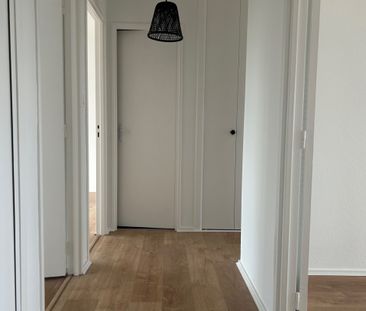 Appartement T2 bis - Photo 4