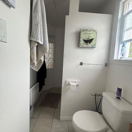 Semi-meublé 4 1/2 Vieux Lévis - Photo 3