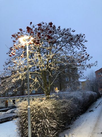 Hagagagatan, Norrköping - Foto 2