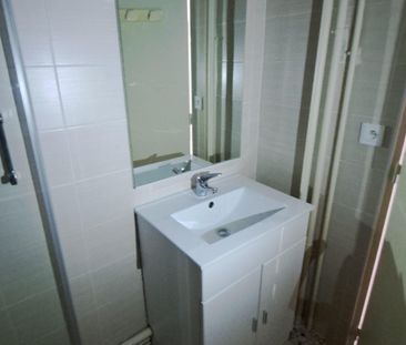 Location Appartement 1 pièce 27m² ST EGREVE 38120 - Photo 2