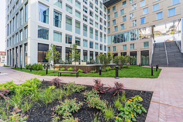 Rue St-Hubert, H2Y 0B9, Montréal - Photo 1