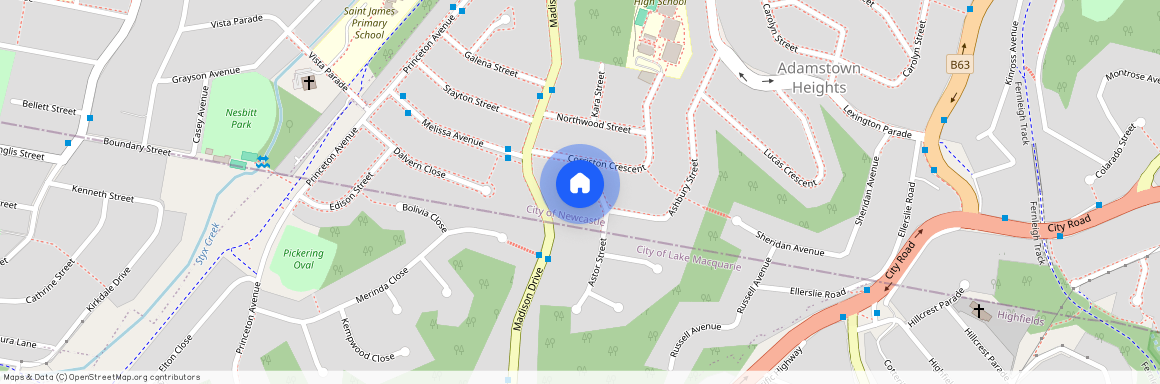 53 Ashbury Street, Adamstown Heights NSW 2289