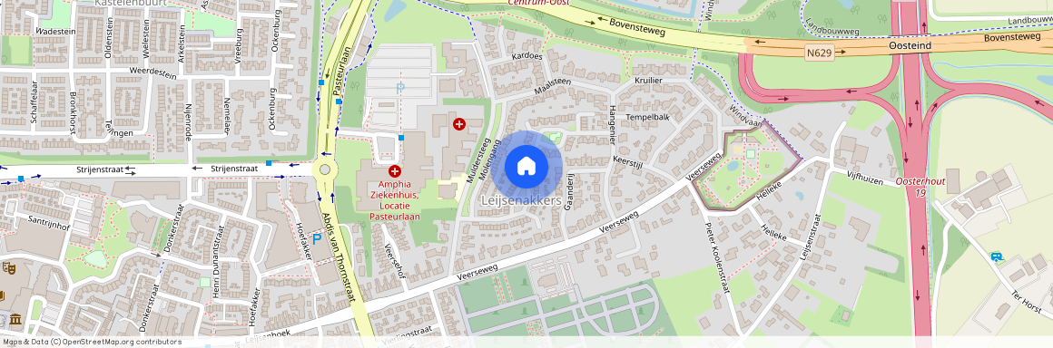 Molenbuurt, 4901 ZW, Wiekslag, Oosterhout