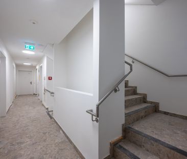 ++NEU++ moderne 3-Zimmer-Wohnung mitten im Herzen der Stadt (1/17) - Photo 1