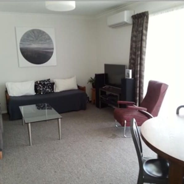 Merivale Unit Across The Road From Hagley Park - Photo 1