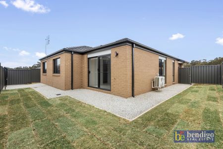 Modern Home Designed for Easy Family Living - Photo 5