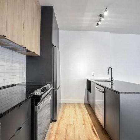 3 1/2 - Montréal (La Petite-Patrie) - 1 650 $/mois - Photo 4
