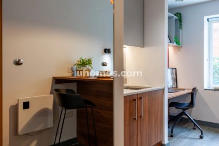 Classic Studio - Photo 3