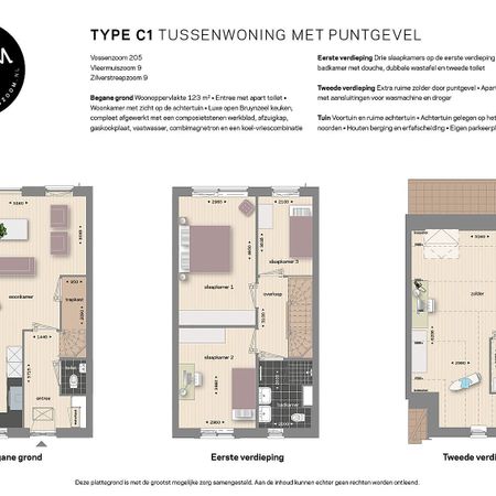 Zilverstreepzoom 9 - Photo 4