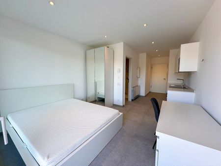 FURNISHED STUDIO NEAR CAMPUS USI/SUPSI - Photo 4