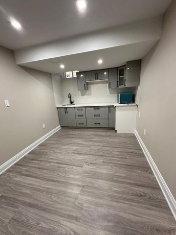 For Lease - 16 Edworthy Gardens Unit# Bsmt, Hamilton, Ontario - Photo 3