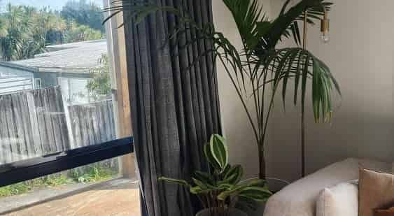 Super sunny 3br in Sunnyvale - Photo 1