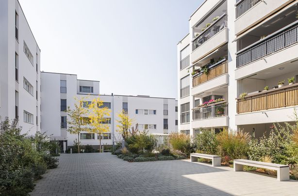 Helles Wohnjuwel in Unterkulm Ihr neues Zuhause wartet! - Foto 1