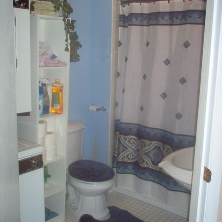 Nice Room for Rent in Shared Apt-Available APRIL 1 - Photo 4