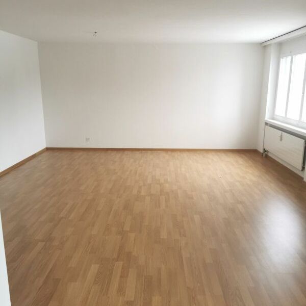 1.5-Zimmer-Wohnung mit Charme - neuen Böden und schönem Sitzplatz mit toller Aussicht! - Photo 1