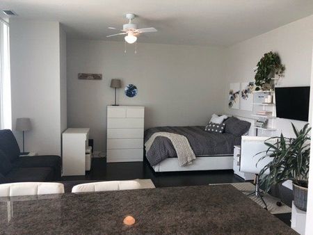 For Lease - 80 John Street Unit# 2902, Toronto, Ontario - Photo 3