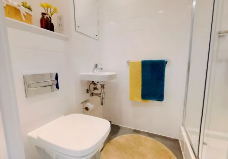 Two Bedroom Apartment Plus - Photo 4