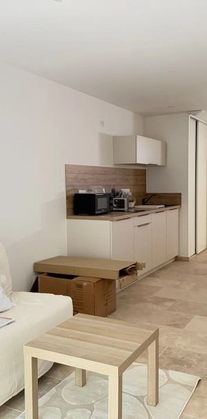 Location Appartement 1 pièces 30 m2 à Aix-en-Provence - Photo 2