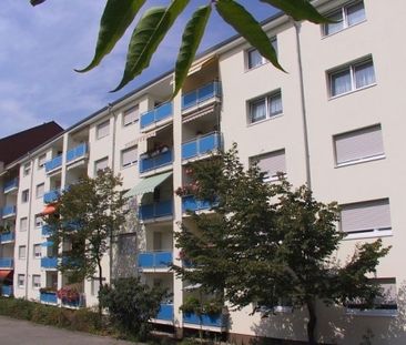 3 Zimmer, Küche, Dusche, Balkon, 1.OG rechts - Foto 1