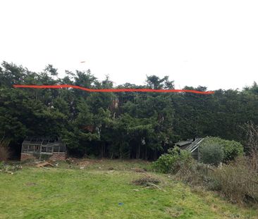 Room in a Shared House, Harrow, HA3 - Photo 4