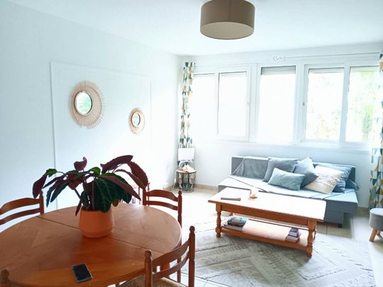 Nantes - Appartement meublé & lumineux - Photo 1