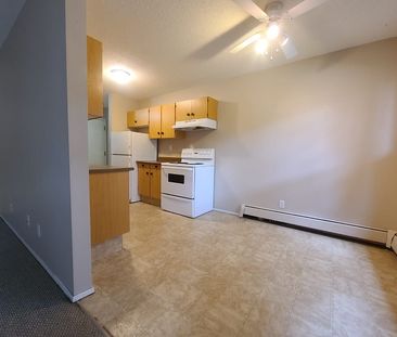 1 Bedroom Unit in Pet Friendly Building with In-Suite Laundry!! - Photo 1