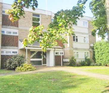 3 bedroom apartment to rent - Photo 1