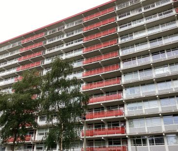 Appartement Speenkruidstraat 503, Assen - Oost - À louer - Photo 2